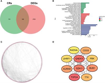 Integrated single-cell and transcriptome sequencing analyses determines a chromatin regulator-based signature for evaluating prognosis in lung adenocarcinoma